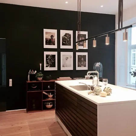 Spacious Apartment. Modern Design Apartment